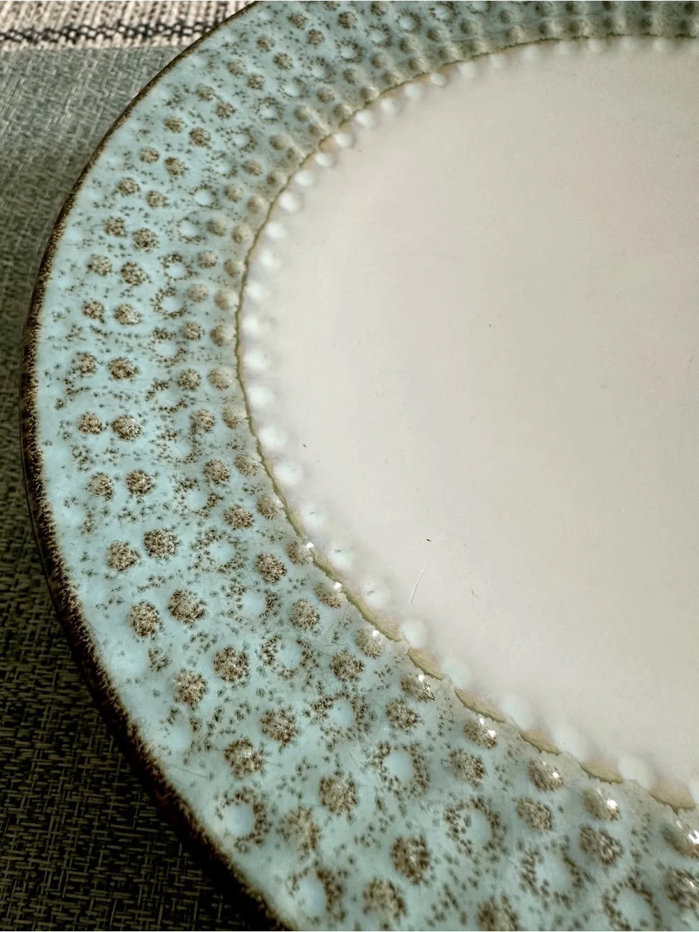 Pier1 Imports Allison 11 5/8” Dinner Plates Bluegreen Edge With Brown Rim x2 EUC